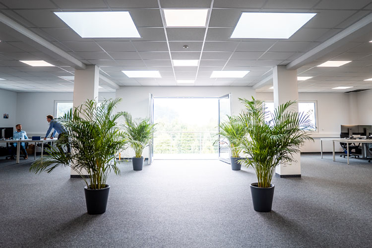 Allroll Fördertechnik GmbH Stammhaus Zentrale Wermelskirchen